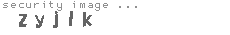 security image