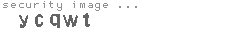 security image