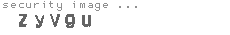security image