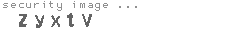 security image