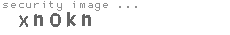 security image