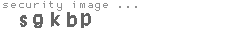 security image
