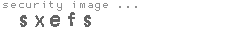 security image