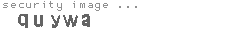 security image
