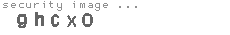 security image