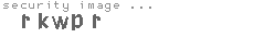 security image