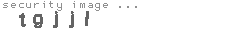 security image