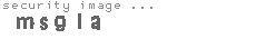 security image