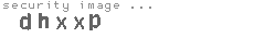 security image