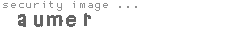 security image
