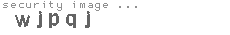 security image