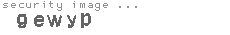 security image