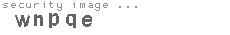 security image