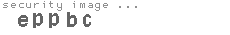 security image
