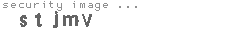 security image