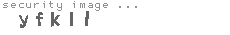 security image