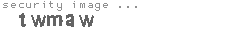 security image