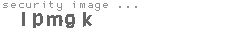 security image
