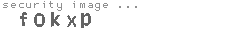security image