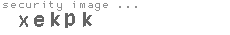 security image