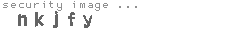 security image