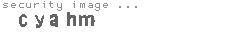 security image