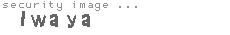 security image