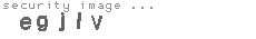 security image