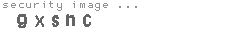 security image