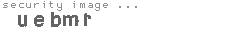 security image