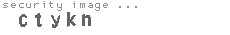 security image