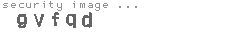 security image