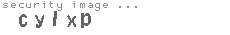 security image