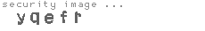 security image