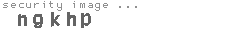 security image
