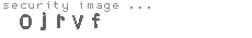 security image