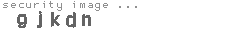 security image