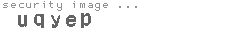 security image