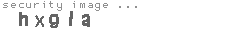 security image