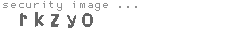 security image