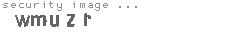 security image
