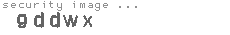 security image