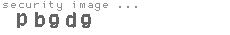 security image