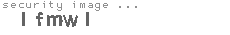 security image