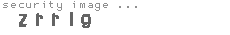 security image