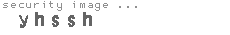 security image