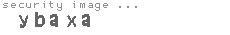 security image