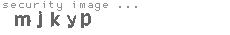 security image