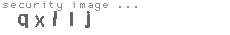 security image