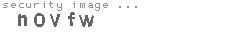 security image